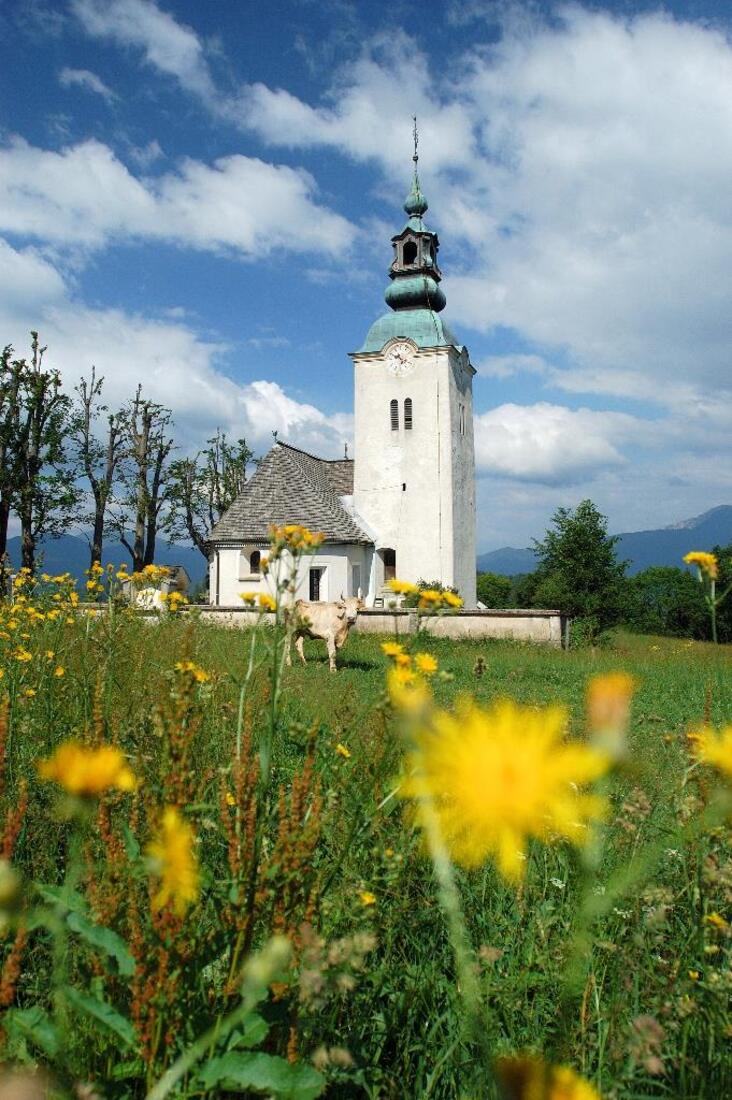 Foto: Tomo Jeseničnik