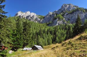 Mogočne gore