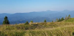 Uršlja Gora